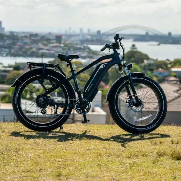 DiroDi Vivo E-Bike Electric Bike Gen 2 - Image 3