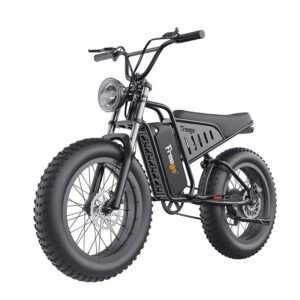 Freego S1 Motorcycle Electric Bike