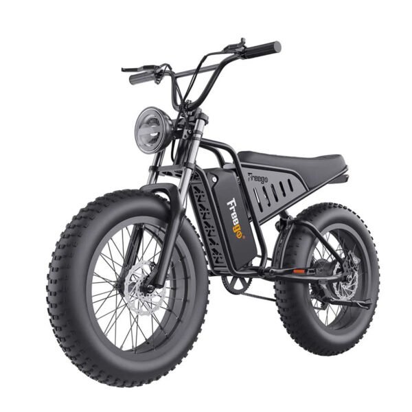 Freego S1 Motorcycle Electric Bike
